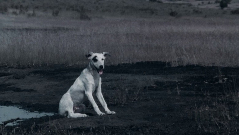 Scene 3
