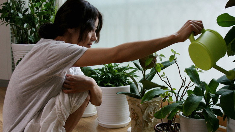 Scene 3