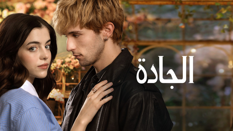 Scene 5