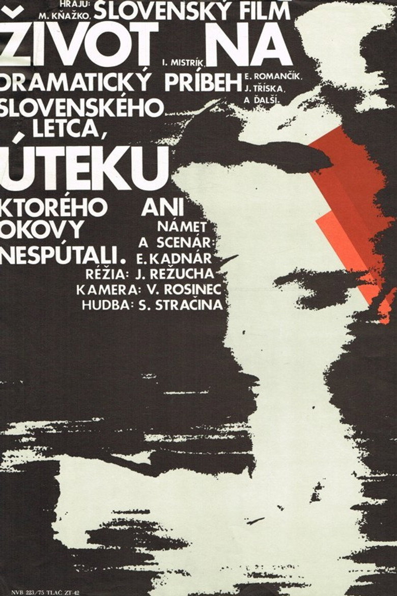 Poster 1