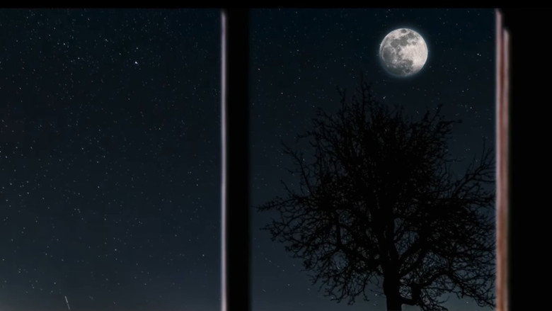 Moon Town backdrop