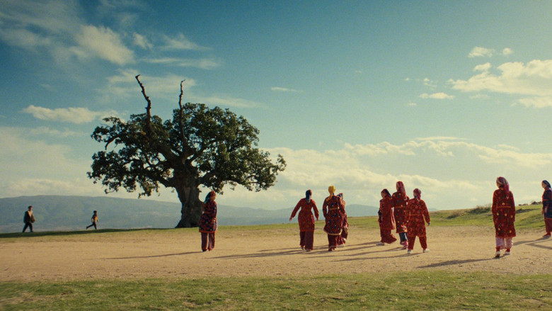 Scene 5