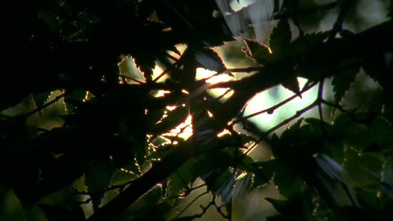 Scene 2