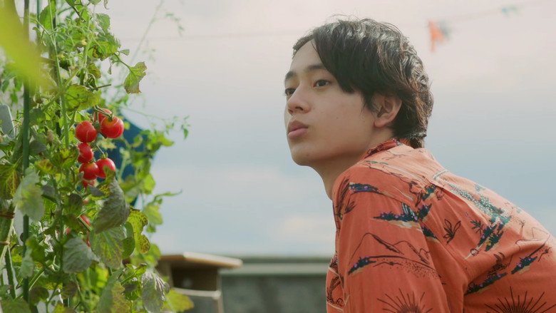 Scene 5