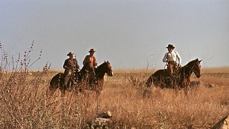 Scene 3