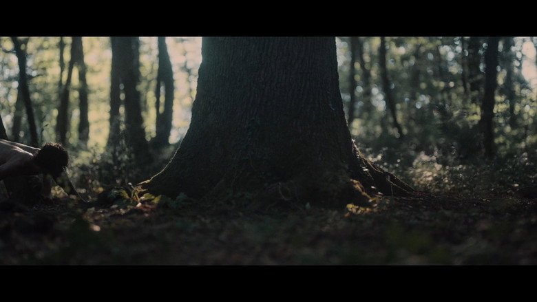 Scene 5