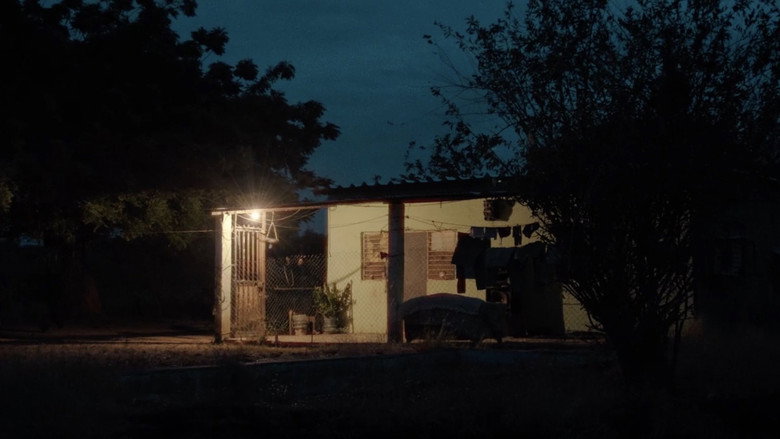 Scene 4