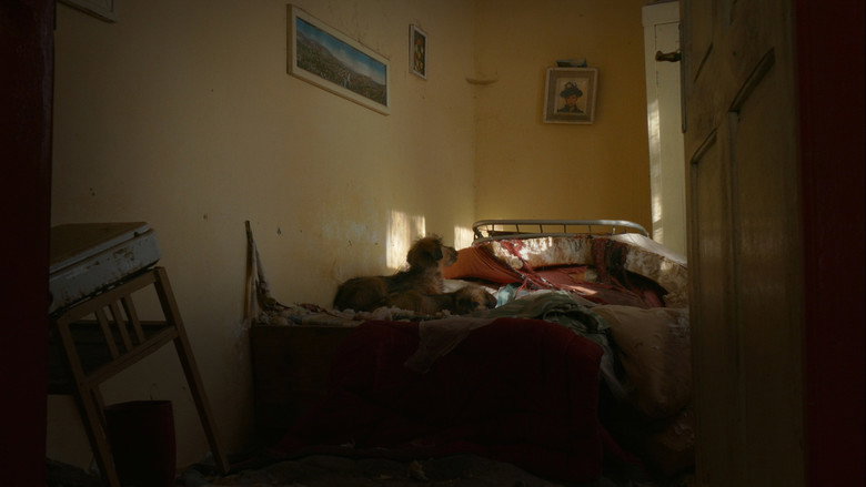 Scene 4