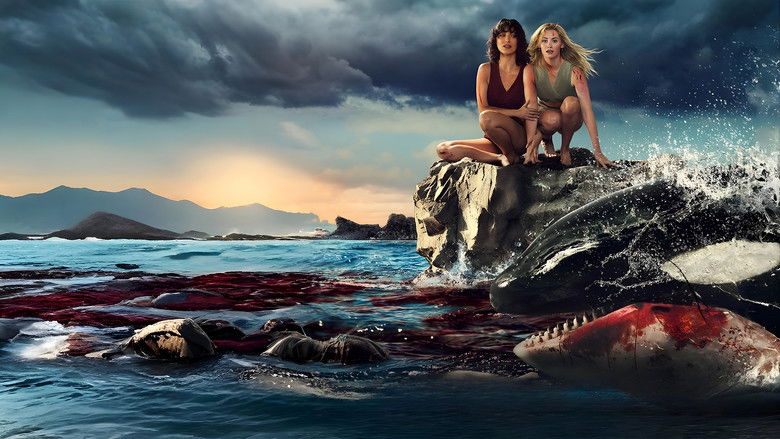 Killer Whale backdrop