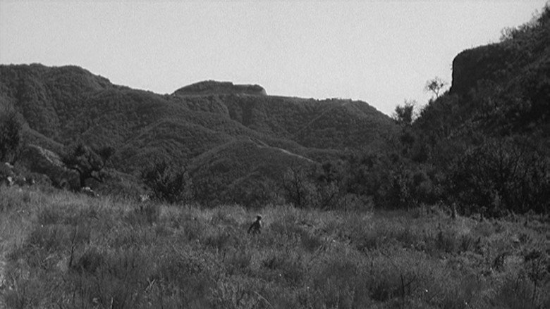 Scene 4