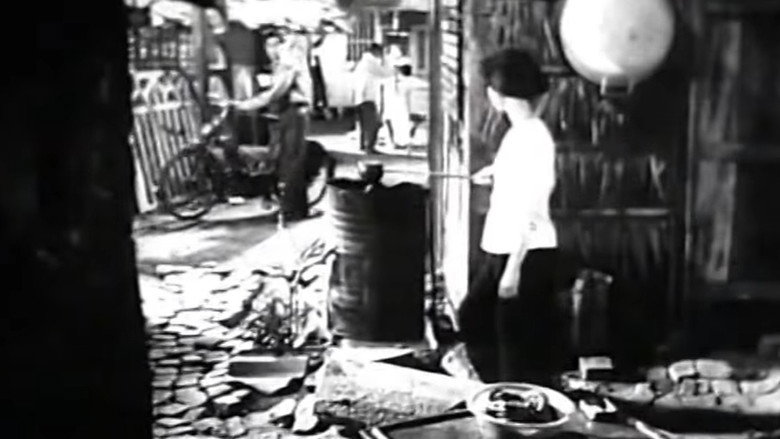 Nguyen Van Troi backdrop