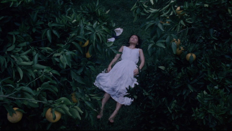 Scene 5