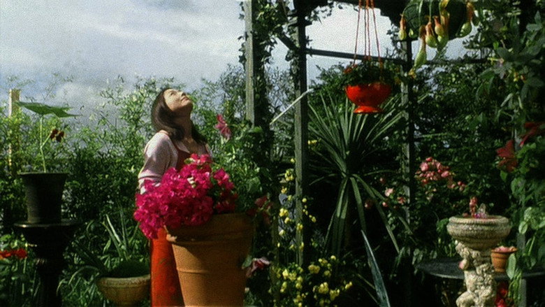 Scene 2