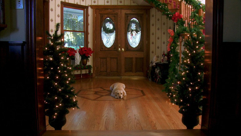 Scene 5