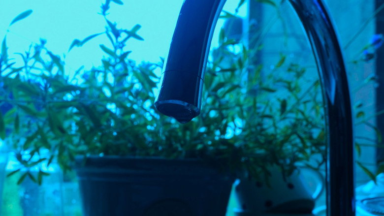 Scene 4