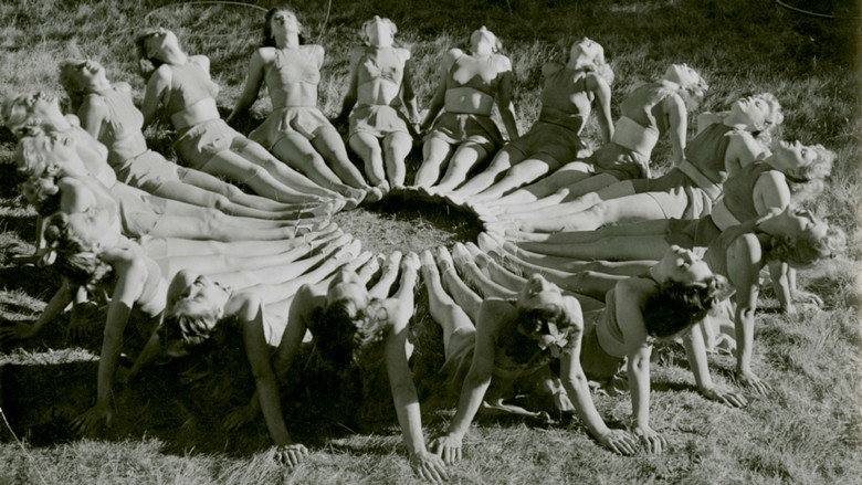 Females At Play