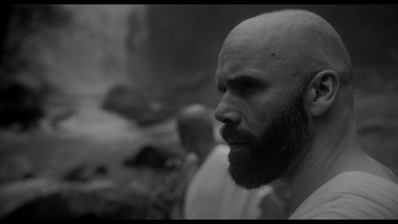 Scene 5