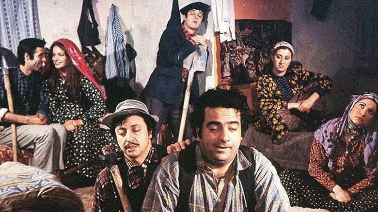 Scene 3