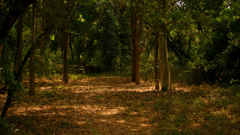 Scene 2