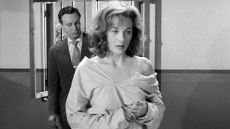 Scene 5