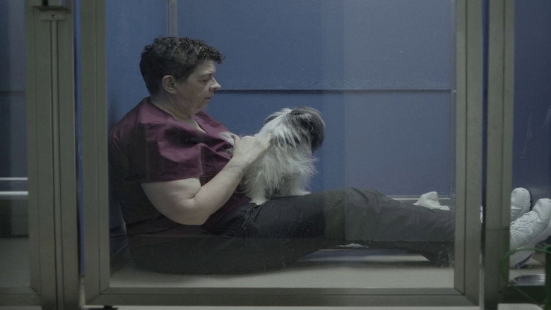 Scene 3