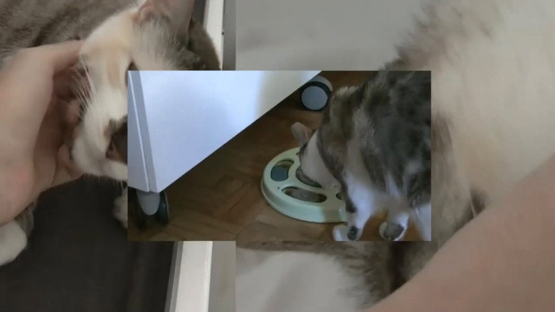 Scene 2