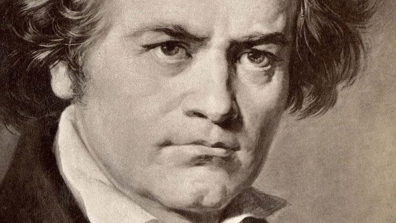 Beethoven privat backdrop