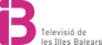 IB3