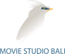 Movie Studio Bali