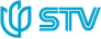 Shanghai Television 上海电视台 (STV)