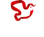 Svobodnoe Kino