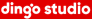 Dingo Studio