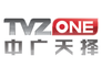 TVZone Media