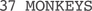 37 Monkeys