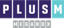 Plus M Entertainment