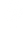 Northern Sheep Cinema