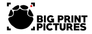 Big Print Pictures
