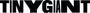 Tiny Giant Entertainment