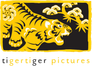 Tiger Tiger Pictures
