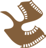 Satyajit Ray Film & Television Institute