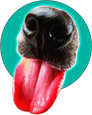 Dog Unlimited