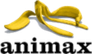 Animax Entertainment