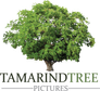 Tamarind Tree Pictures