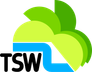Television South West