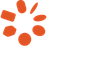 Documentary Australia Foundation