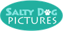 Salty Dog Pictures