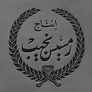 أفلام رمسيس نجيب