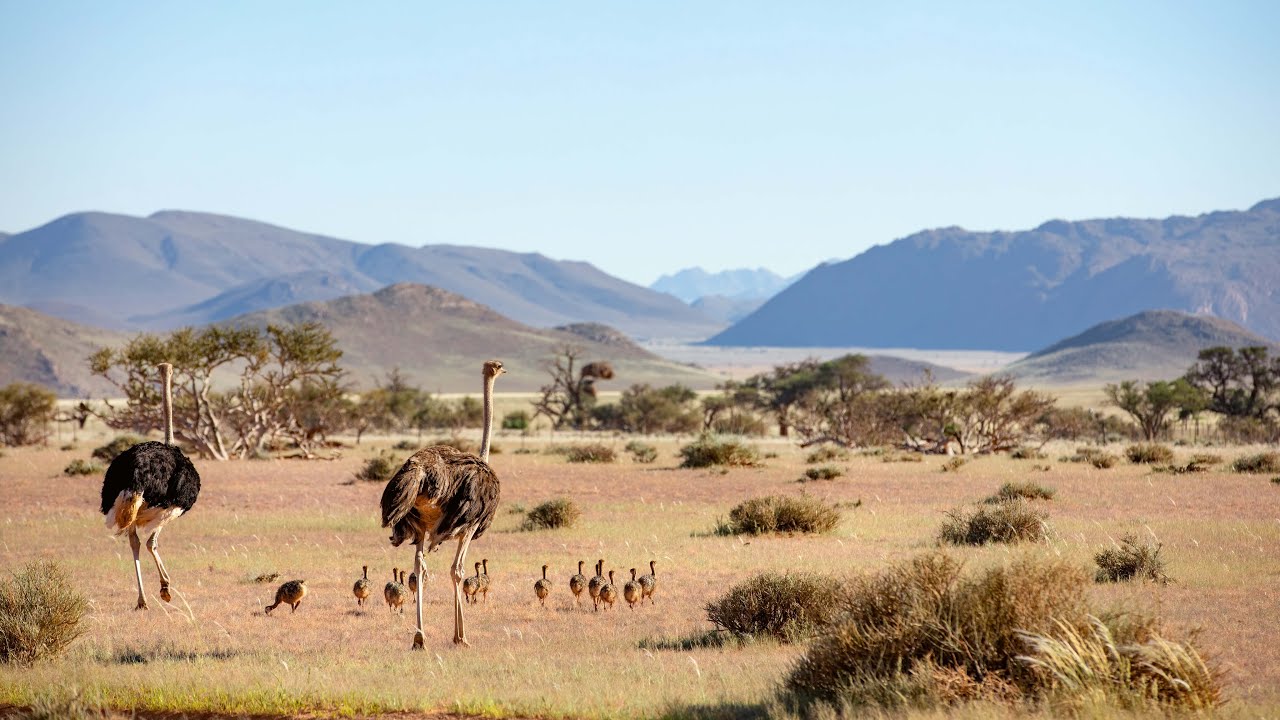 Sir David Attenborough on the Planet Earth series | Planet Earth III