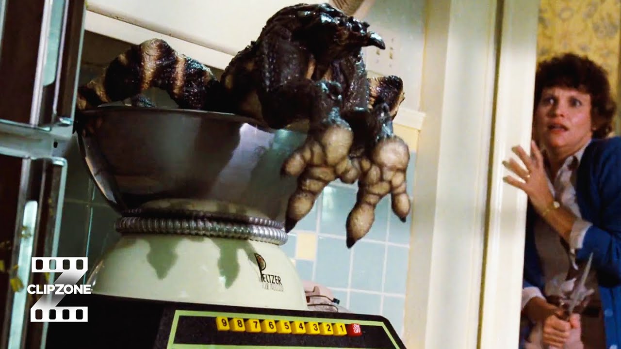 Chaos In The Kitchen