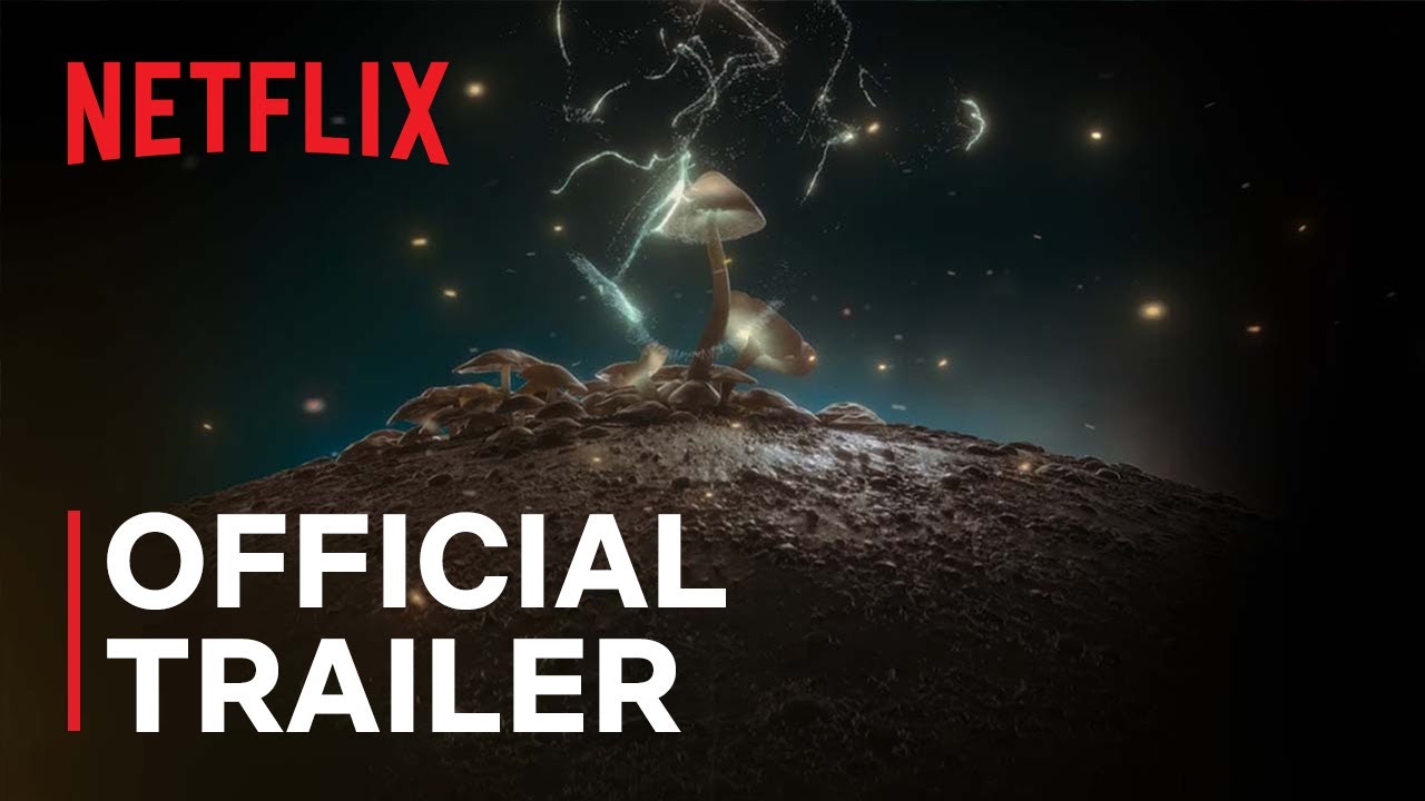 Official Trailer